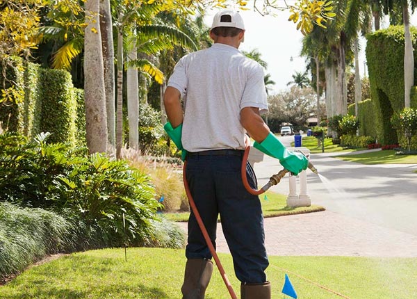 About Townsville NC Pest Control Pros